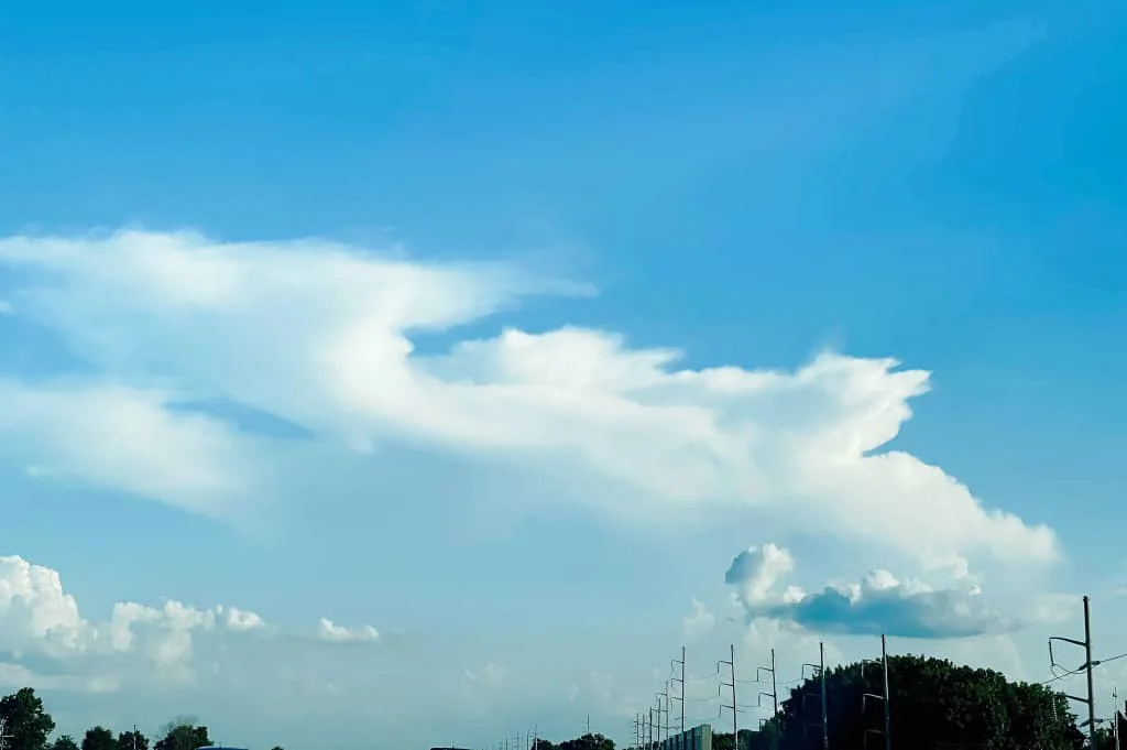 Streamlining Your Workflow - Better Grading Scale Organization